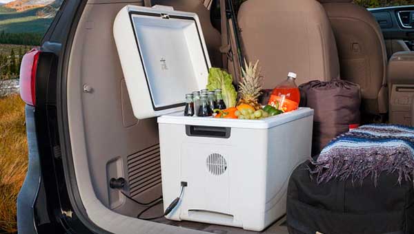 Как выбрать подходящий автохолодильник